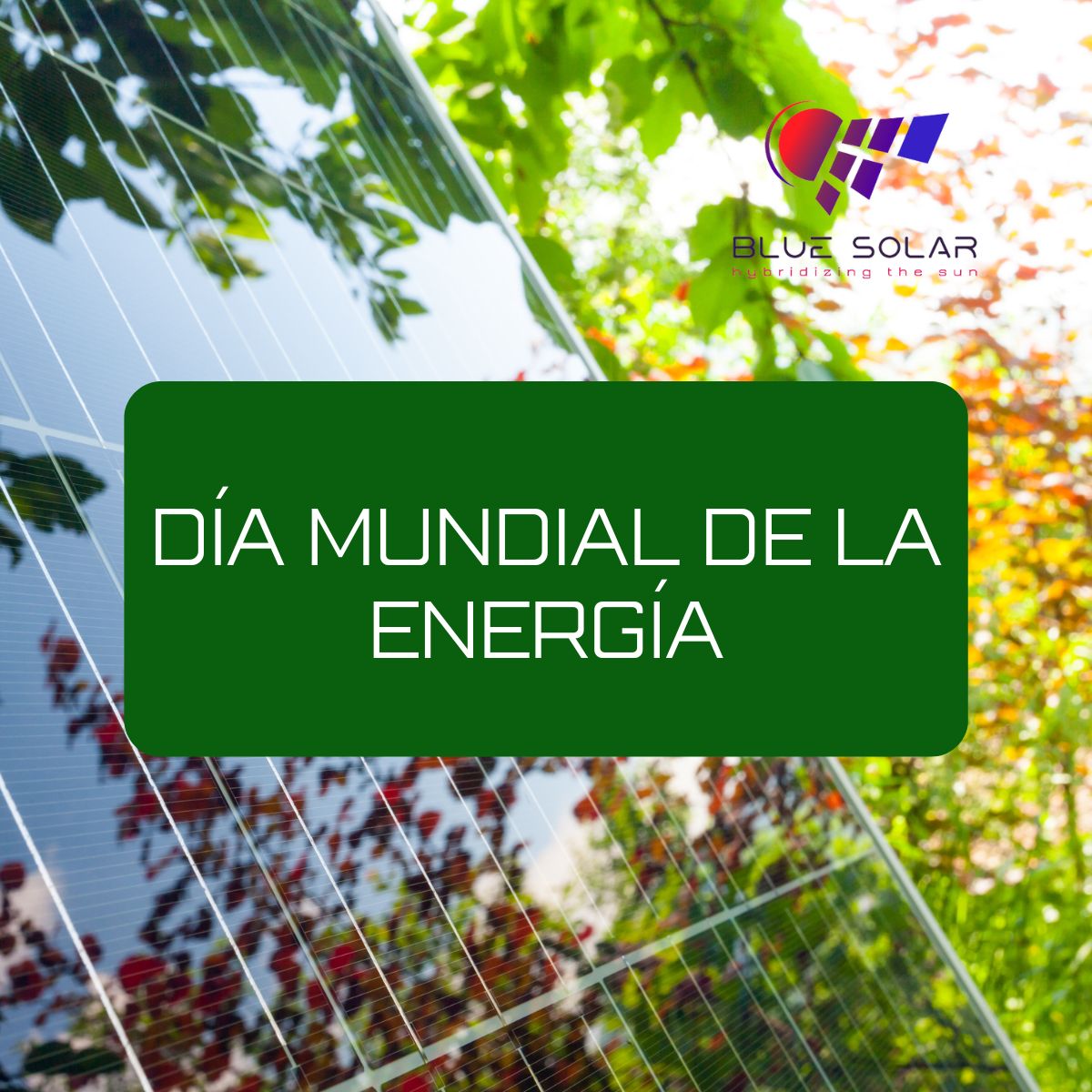 BlueSolarTechno's tweet photo. Hoy es el #díaMundialdelaEnergía y en #BlueSolar, somos consciente de la importancia de utilizar fuentes alternativas, siendo nuestra #tecnología el primer concepto mundial acerca de una planta fotovoltaica con cogeneración térmica. https://t.co/9kAjtifjnc