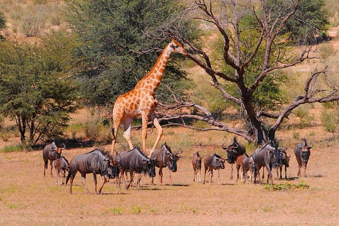 ItvKe's tweet photo. Kenya my beautiful country. 

Go argue with your sister. 

Linet Toto  Rachel Ruto Brian Mutembei https://t.co/M5snnrTNLI
