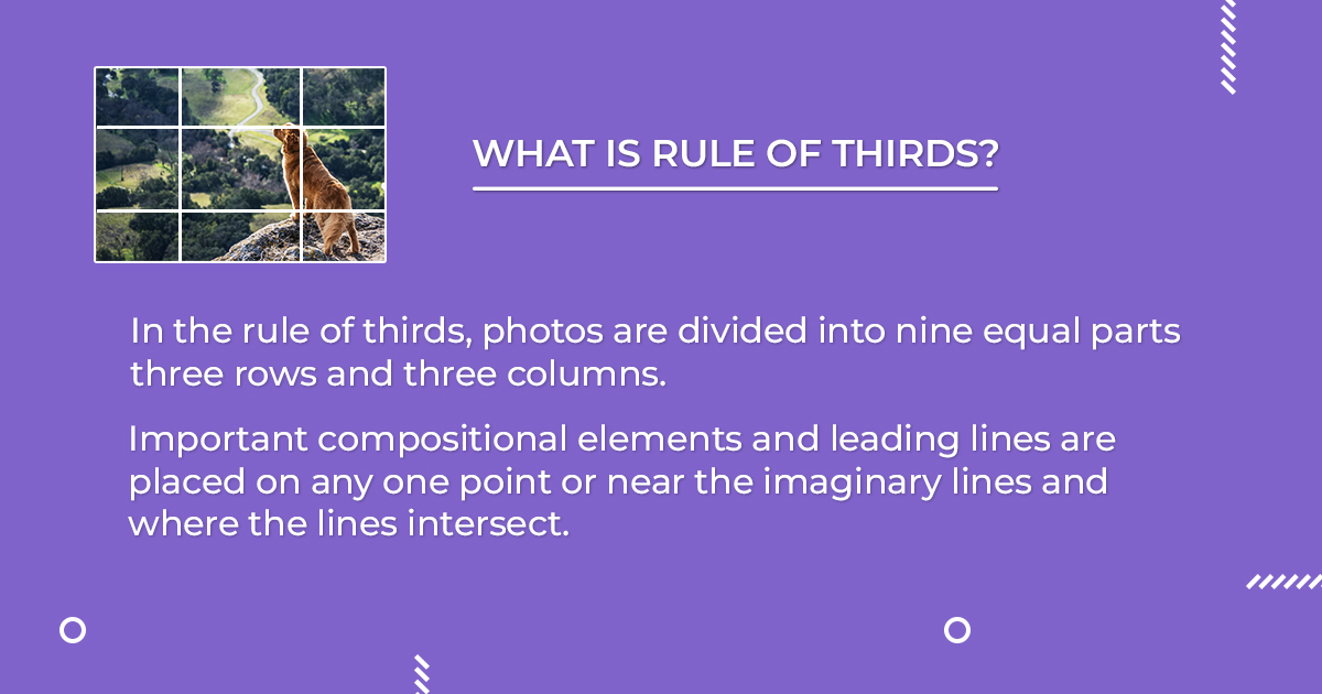 TCImage's tweet photo. Swipe βοΈ for knowing about the rule of thirds, how it affects your photography and when to use it and when not to
Follow @thecompellingimage for more knowledge and photography tips.
#ruleofthirds #ruleofthirdsphotography #photographytips #tipsphotography #photography https://t.co/WsrkE9RtkS