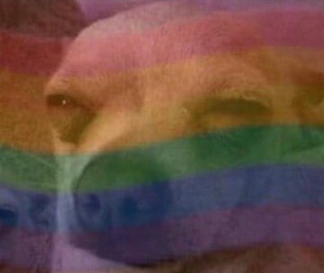 galleryofmeme's tweet photo. LGBT ● Gay ● Lesbian ● Sus ● Question #GOM #meme https://t.co/gJ6azrk28T