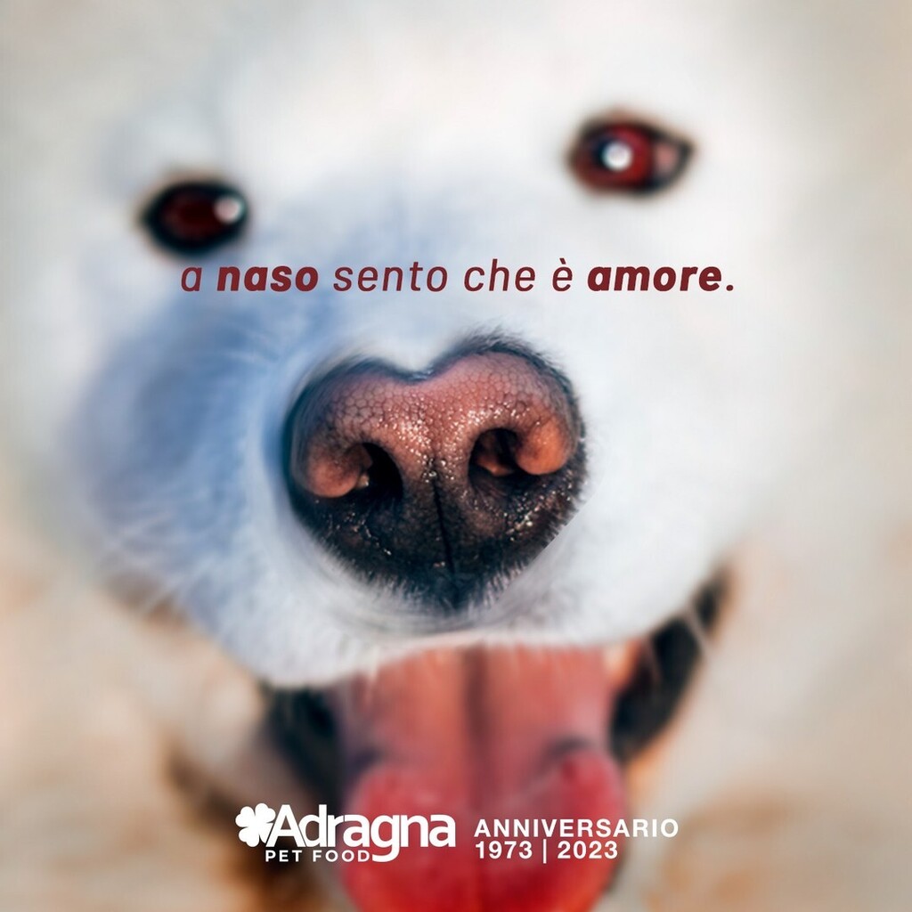 AdragnaPetFood's tweet photo. In amore ci vuole fiuto! 🐶❤️

#SanValentino #50Adragna #adragnapetfood #cane #alimentazionecane #alimentazionecanejunior #canecucciolo #alimentazionegatto #gattosterilizzato #gatto #cat #crocchettegatto #crocchettegatti🐱 #alimentazionegattoadulto #catsofinstagram #catlover #… https://t.co/1K8YUifCZG