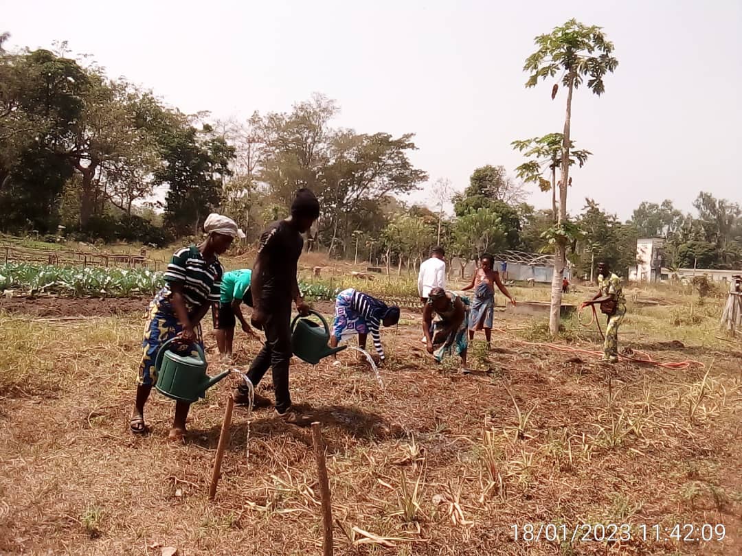 Notre 'Projet d'incubation et d'insertion socioprofessionnelle des jeunes togolais à l'agrobusiness' en partenariat avec le  #PNUD  et le Ministère de l'Agriculture de l 'Elevage et du Développement Rural  est rentré dans sa phase opérationnelle.
 #fondationsea #SeaFondation