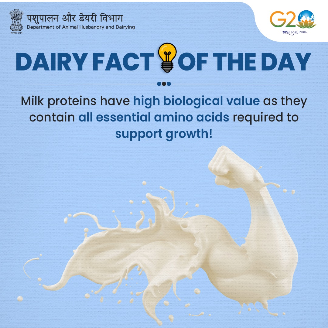 Dept_of_AHD's tweet photo. #Milk is a rich source of quality #protein which reduces age-related muscle loss and promotes muscle repair.

#Dairy #DairyIndia #Health #Nutrition https://t.co/OfVkpiPrt2