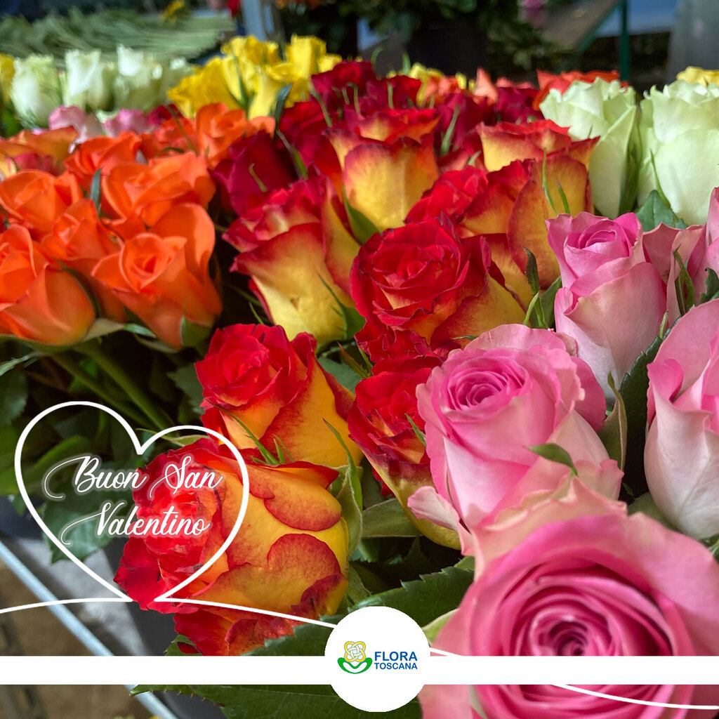 Buon San Valentino a tutti ❤🌹 Festeggiate il vostro amore con un fiore ❤🌹
