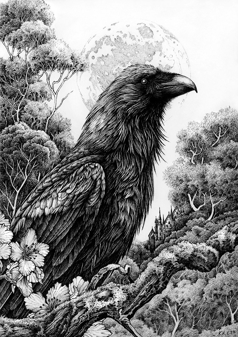 KarlTrewhelaArt's tweet photo. Gm Raven Lovers 🖤 https://t.co/8nVQ92muDL