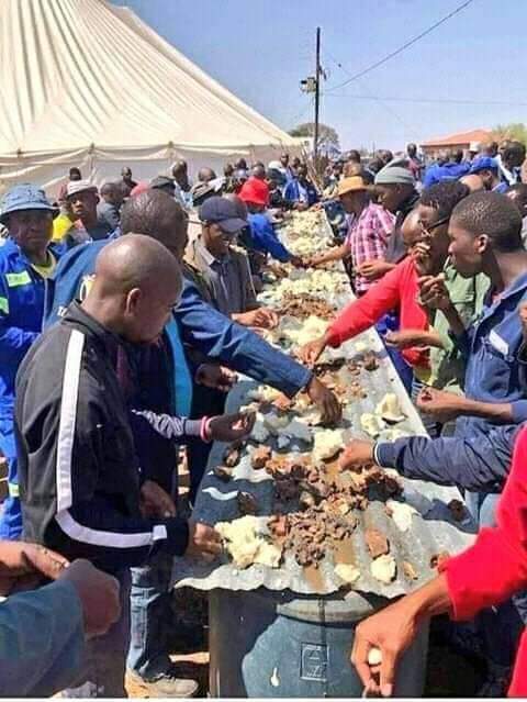 mhlambi_prince's tweet photo. Man's conference 2023, delegates from Kzn having their lunch as they refused to eat burgers for lunch. https://t.co/RgS1sxjWKv