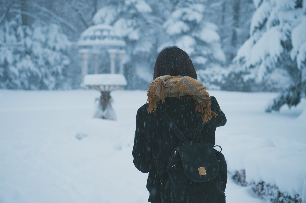 vintage718's tweet photo. 雪の日 https://t.co/jvdc9GrnSk