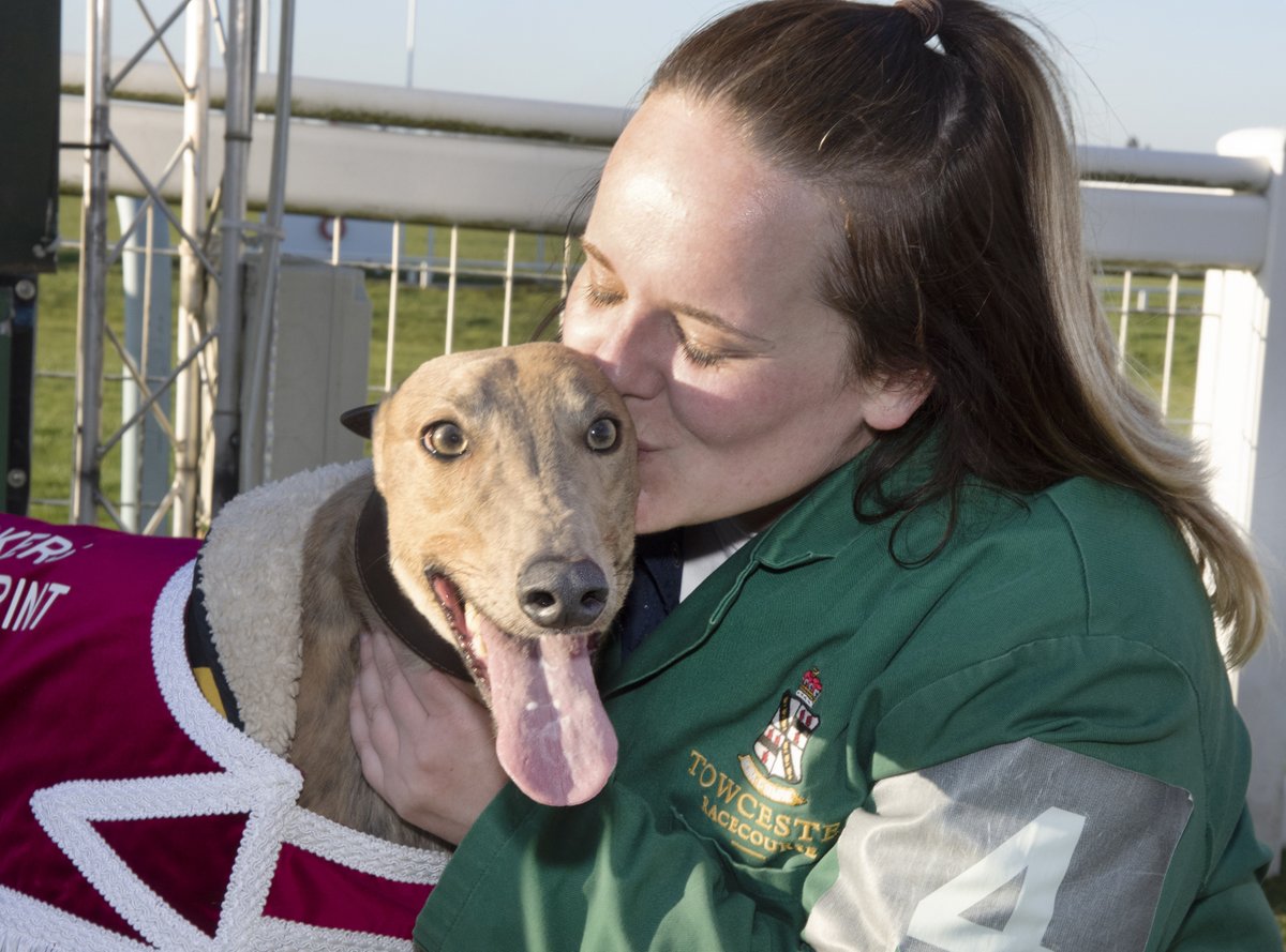GreyhoundBoard's tweet photo. As anyone who has ever owned a greyhound knows, they are a breed that will quickly steal your heart ♥️
Which racing or retired greyhound are you sharing the love with this #ValentinesDay?
Post your📸 and stories below⤵️
#GreyhoundsMakeGreatPets #ValentinesDogs https://t.co/X89tOZcsaU