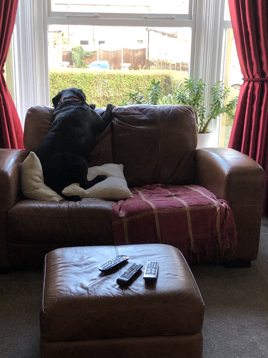 The anguish today of waiting for the postie to arrive….
Happy Valentines Day ❤️