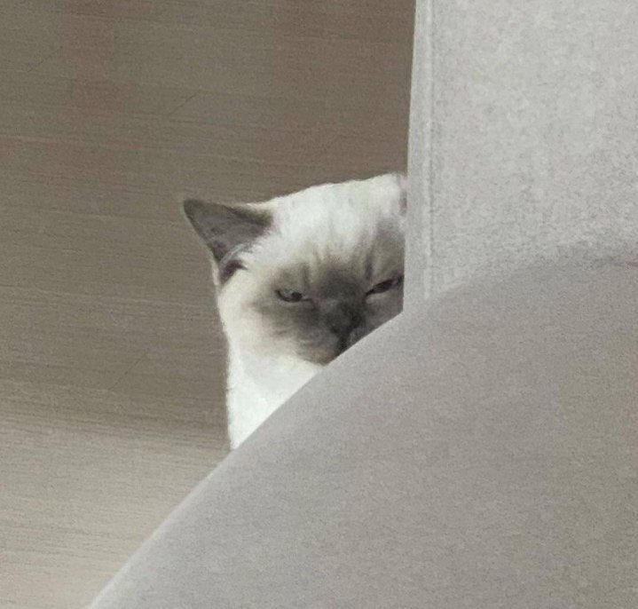 un dia de los enamorados con Venus próxima a Neptuno

cuidado mis babys
nada es lo que parece..

los signos de Agua 
Piscis ♓ pregunta 2 veces
Escorpión ♏ confianza en ti pero ojos abiertos
Cáncer ♋ viendo el panorama