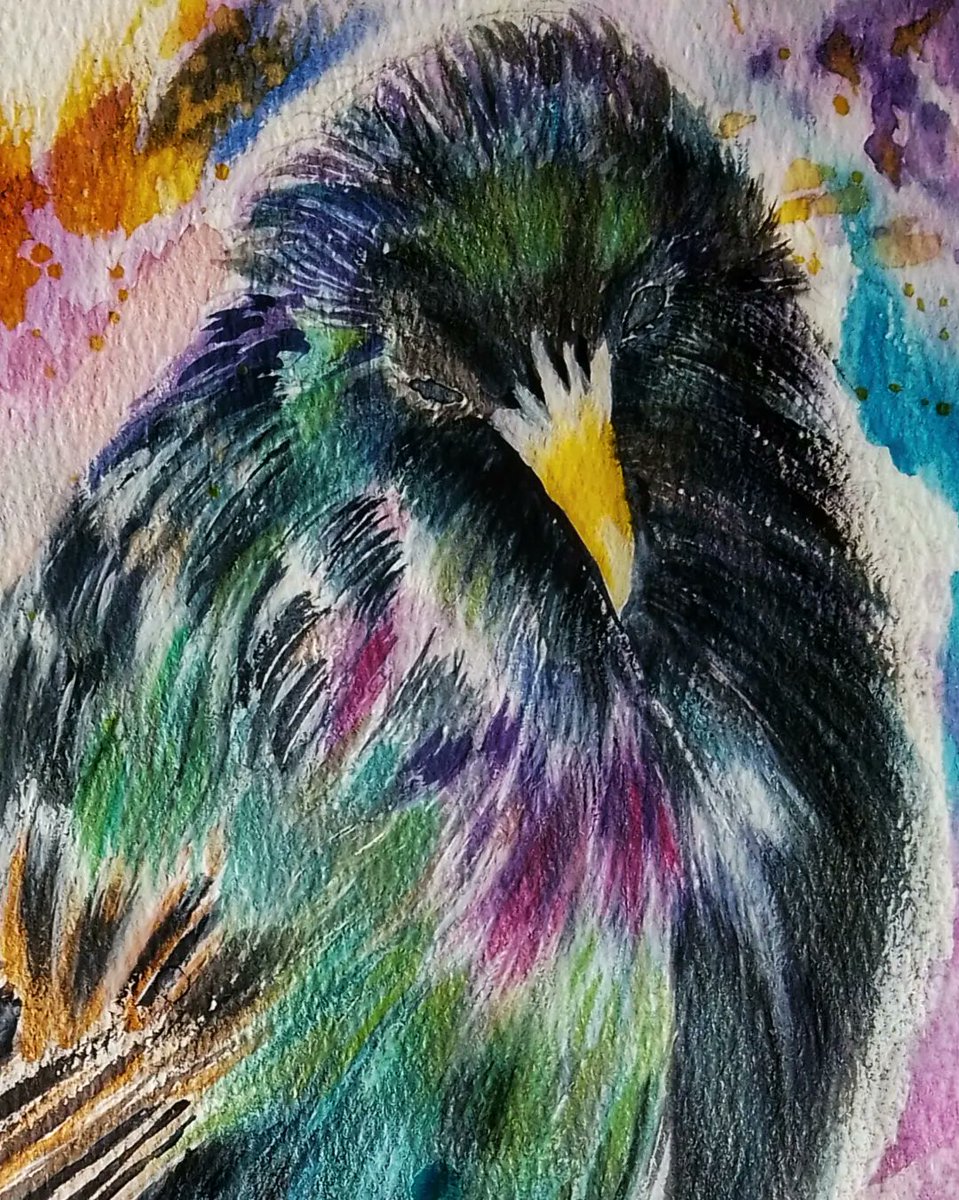 MogRagga's tweet photo. As I popped on here today thought I might as well share this piece of a starling, soon to be looking for a new home.
If you want a splash of colour, he's your chap.
#MHHSBD #Starlings #BirdTwitter #indieartist #originalart #wildlife https://t.co/nZj2YXVYg1