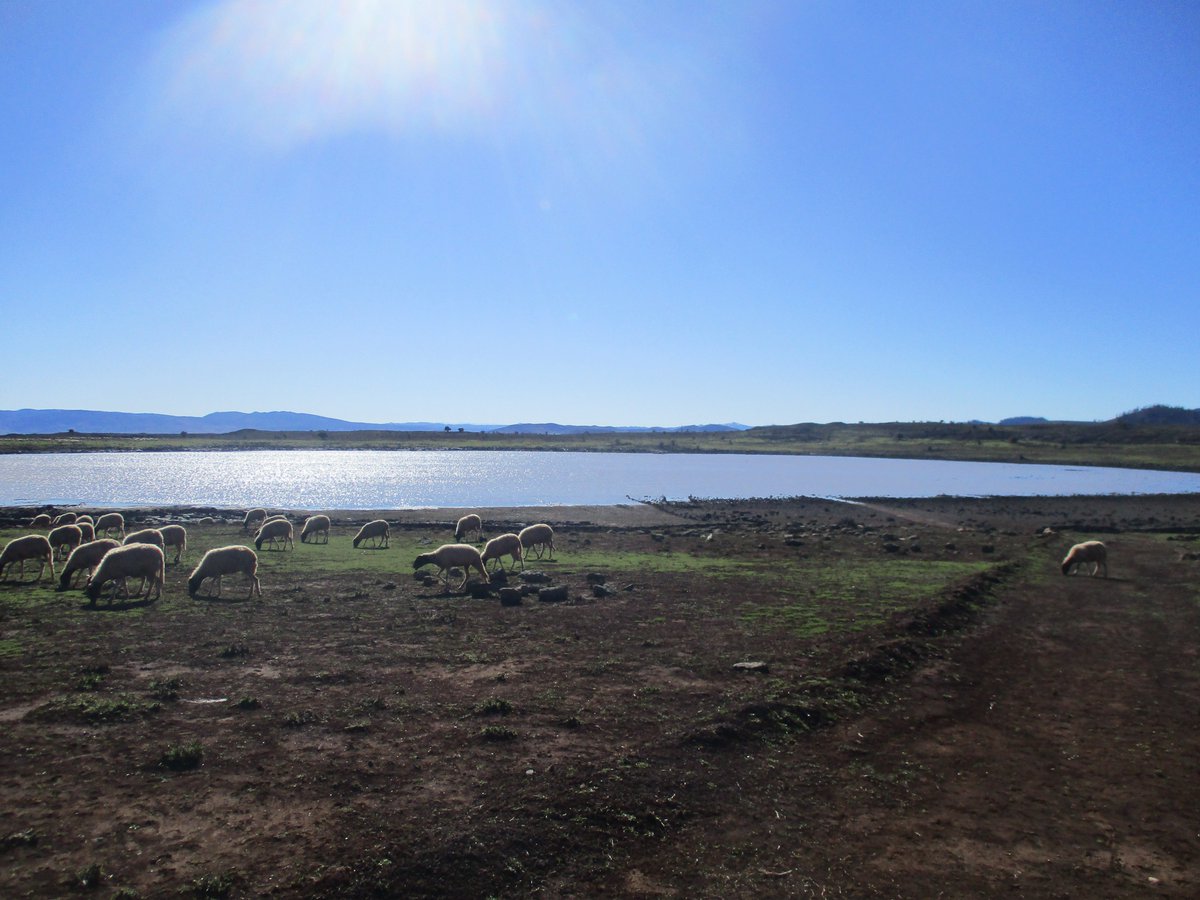 LPM_Morocco's tweet photo. Photos avant-après de la réhabilitation du lac d’Aguelmam n’tighlouine à travers la réalisation d’un ensemble de travaux de construction de murs en gabion, mise en place des dérayures, plantations d’arbres, décapage, etc. par l’équipe de LPM et l’Association Ait Hssain Ouhend. https://t.co/7dc7AnkZrg