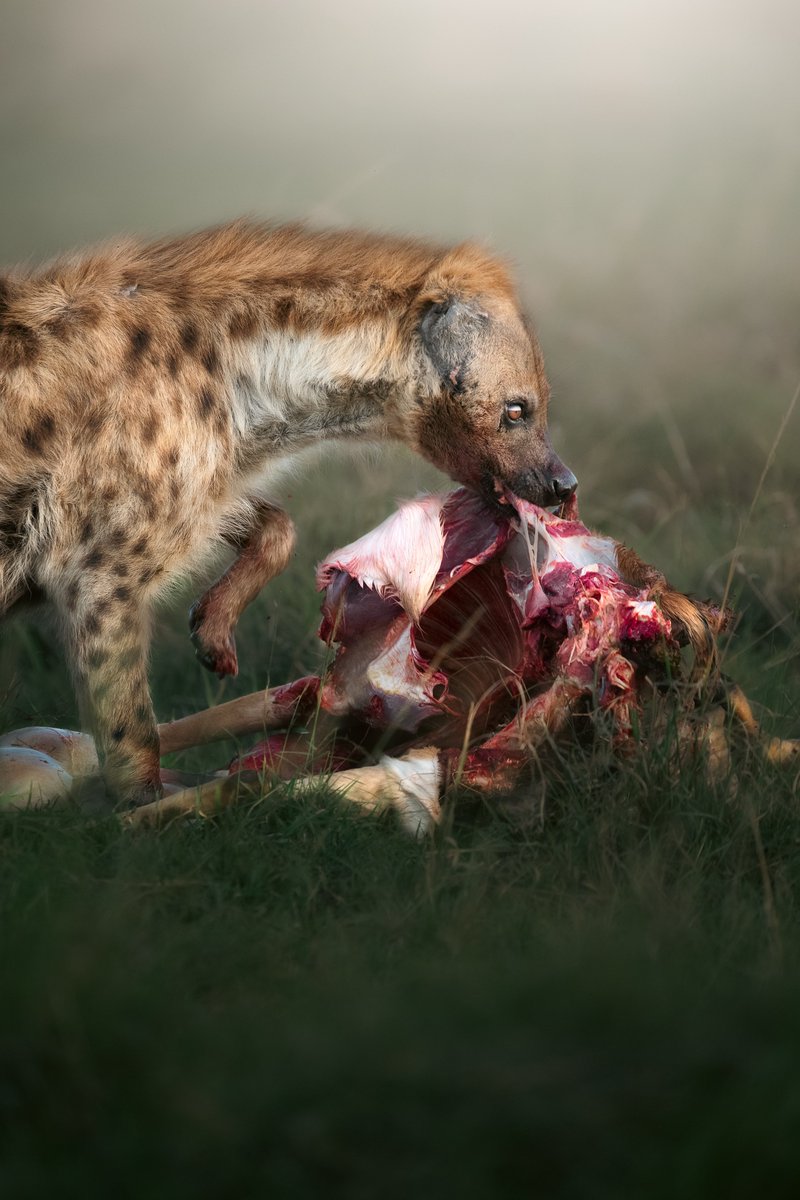 Sloika.xyz tweet media