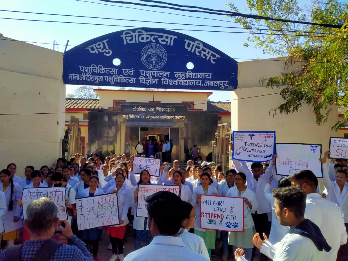 Ndvsu_mp's tweet photo. मामा जी गायों का आप भरपूर ख्याल रखे।
लेकिन गायो के डॉक्टरों की अनदेखी न करे....
#increaseMPvetStipend

@aajtak
@OfficeofSSC
@presidentVCI
@GovernorMP
@ABVPMB
@NSUIMP
@MLApremsinghBJP
@presidentVCI
@DrMohanYadav51
@GovernorMP
@ChouhanShivraj
@CMMadhyaPradesh 
@drsanjeevbalyan https://t.co/pdEbCczdEa