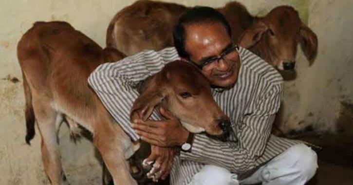 Ndvsu_mp's tweet photo. मामा जी गायों का आप भरपूर ख्याल रखे।
लेकिन गायो के डॉक्टरों की अनदेखी न करे....
#increaseMPvetStipend

@aajtak
@OfficeofSSC
@presidentVCI
@GovernorMP
@ABVPMB
@NSUIMP
@MLApremsinghBJP
@presidentVCI
@DrMohanYadav51
@GovernorMP
@ChouhanShivraj
@CMMadhyaPradesh 
@drsanjeevbalyan https://t.co/pdEbCczdEa