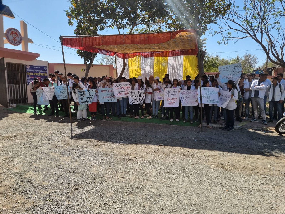 Ndvsu_mp's tweet photo. मामा जी गायों का आप भरपूर ख्याल रखे।
लेकिन गायो के डॉक्टरों की अनदेखी न करे....
#increaseMPvetStipend

@aajtak
@OfficeofSSC
@presidentVCI
@GovernorMP
@ABVPMB
@NSUIMP
@MLApremsinghBJP
@presidentVCI
@DrMohanYadav51
@GovernorMP
@ChouhanShivraj
@CMMadhyaPradesh 
@drsanjeevbalyan https://t.co/pdEbCczdEa