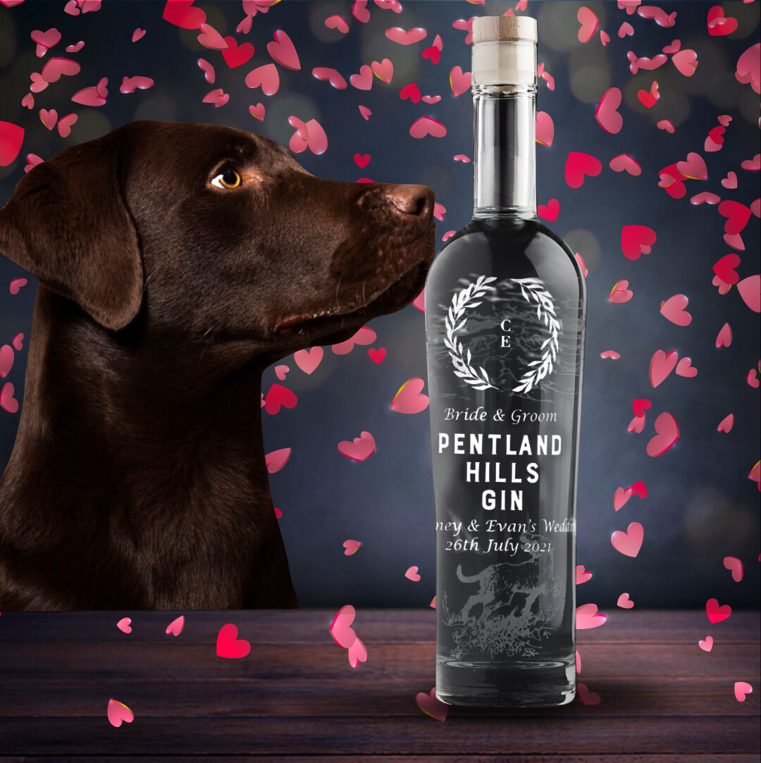 Woof! Panza here, just wishing you all a Happy Valentine's Day! Lots of love from me and my humans at Pentland Hills Gin ❤️🐶

#valentinesday #love #valentines #valentine #valentinesdaygift #happyvalentinesday #pentlandhills #pentlandhillsgin #gin
