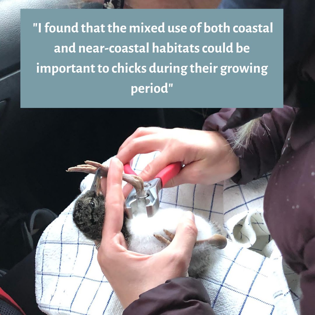 uwiceland's tweet photo. We continue with honouring women in science. 
#uwiceland #westfjords #isafjordur #iceland #CoastalStudies #studyiniceland #womeninscience #womeninresearch
#internationaldayofwomenandgirlsinscience #STEM #whomeninstem https://t.co/3D82DVhEDG