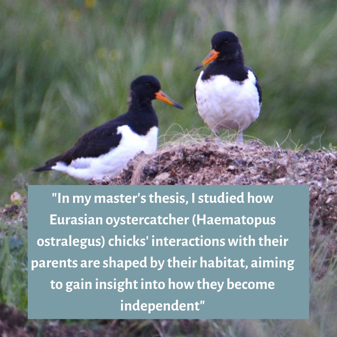 uwiceland's tweet photo. We continue with honouring women in science. 
#uwiceland #westfjords #isafjordur #iceland #CoastalStudies #studyiniceland #womeninscience #womeninresearch
#internationaldayofwomenandgirlsinscience #STEM #whomeninstem https://t.co/3D82DVhEDG