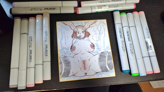 コピックあたらしいの買ったのでオオタカちゃんで試し書き! 