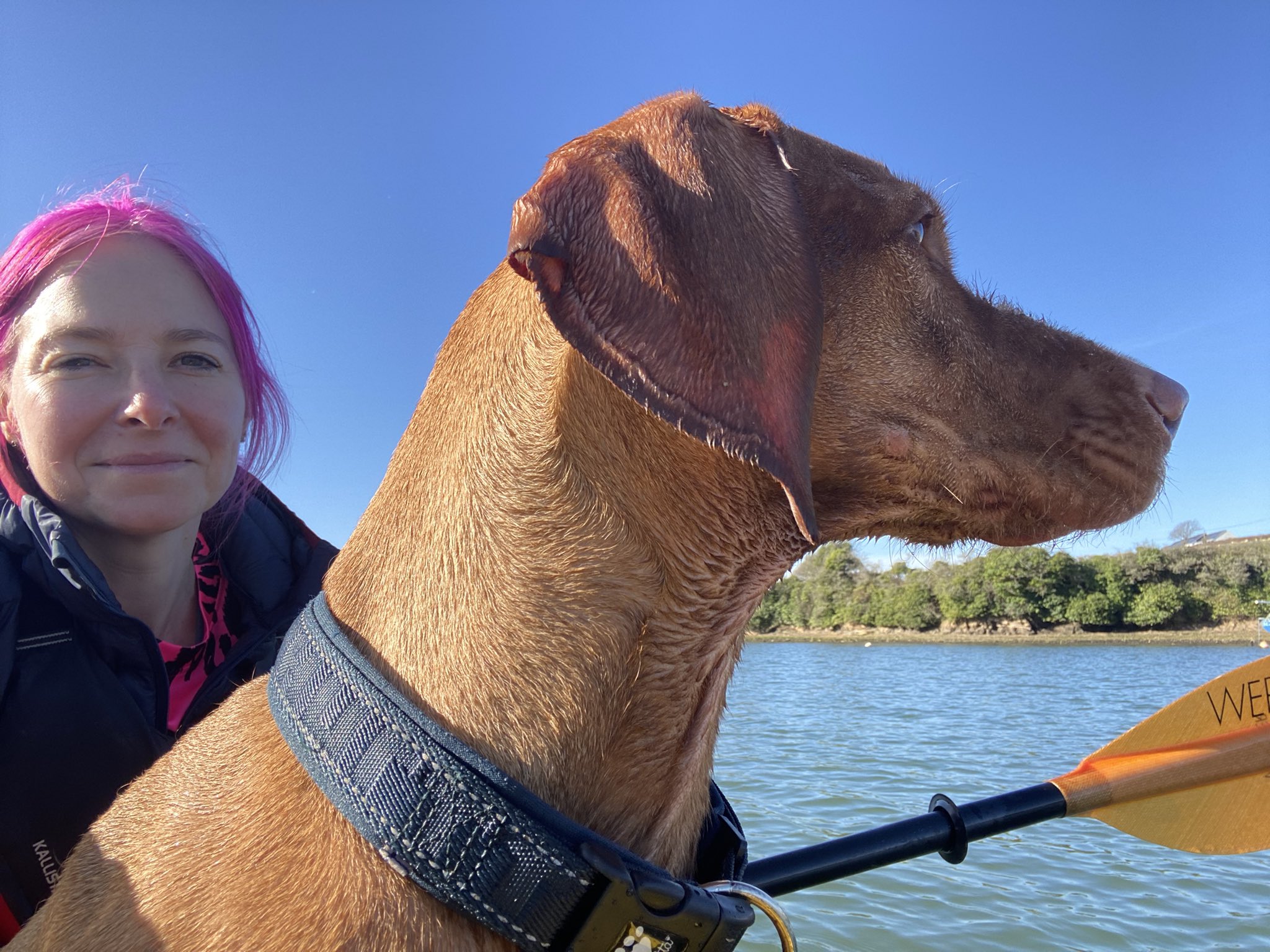 Prof Alice Roberts💙 on Twitter: “@LifeAfloat I’ve got a large passenger