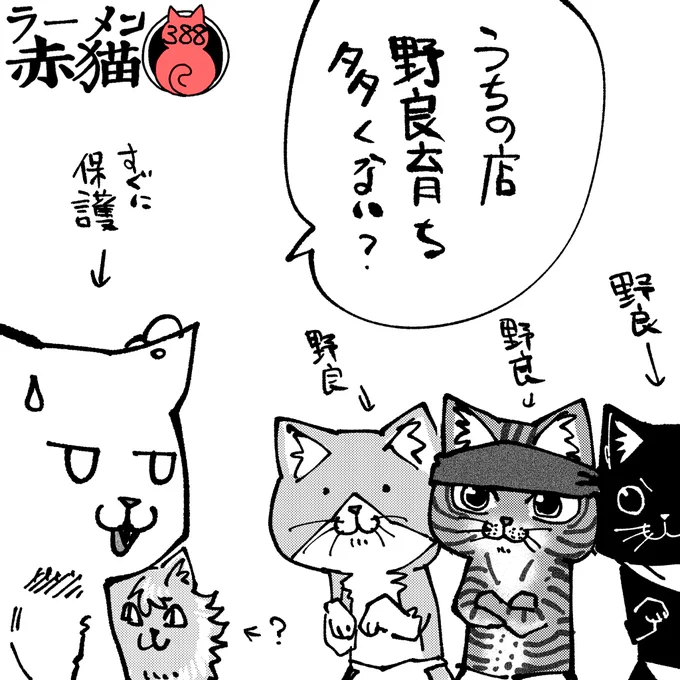 クリシュナちゃんは動物園生まれです
#ラーメン赤猫 #ジャンププラス
46話 https://t.co/TqmtP4QvW6 