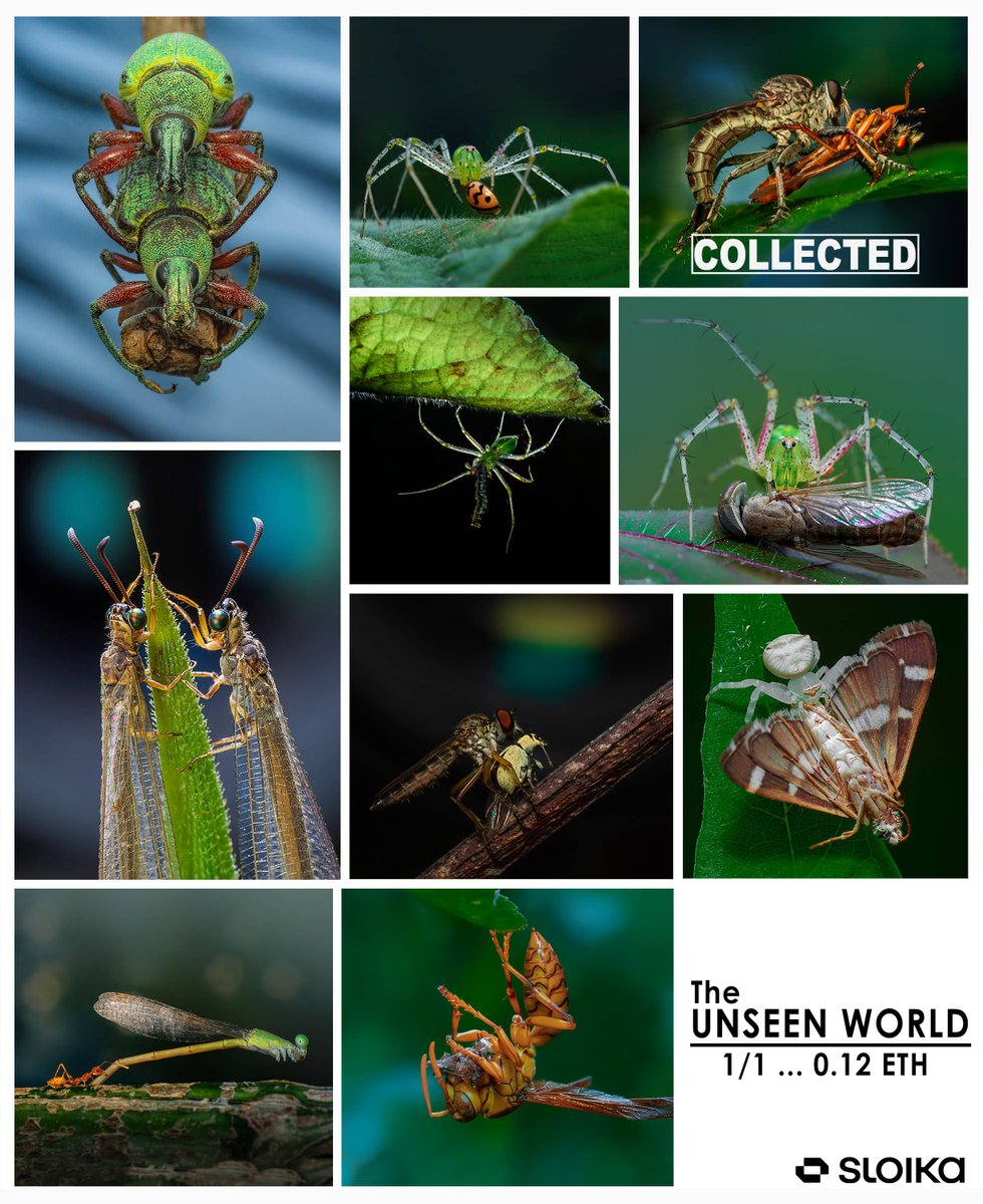 Arijit Mondal tweet media