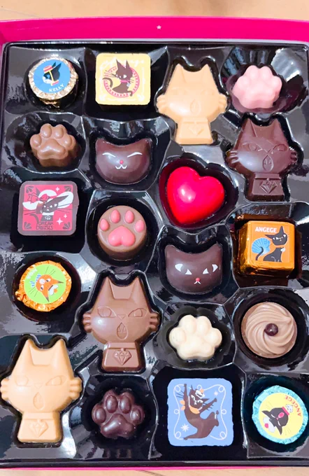チョコ猫ちゃん可愛い 