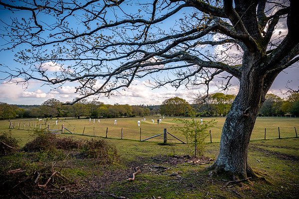 BramshawCC's tweet photo. Are you new to the area, or just looking for a change? Join the best club to develop at in the county. We’re recruiting for the 2023 season! Teams for all ages, abilities, league &amp; friendly cricket available. Top facilities, a great family club &amp; very social. A yearly tour too! https://t.co/Rqm0z0SrTb