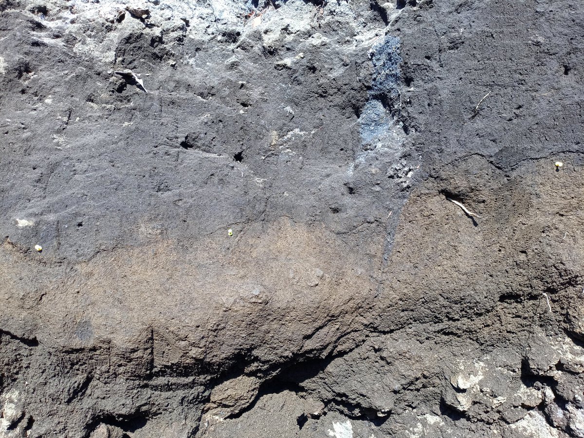 GiorgioTringa's tweet photo. Fault again, 2018 surface rupture @alemariamichett @FranzLivio @eshaan0304 @Perigeo_Ins @Uni_Insubria #Etna https://t.co/7ZJKNeranC