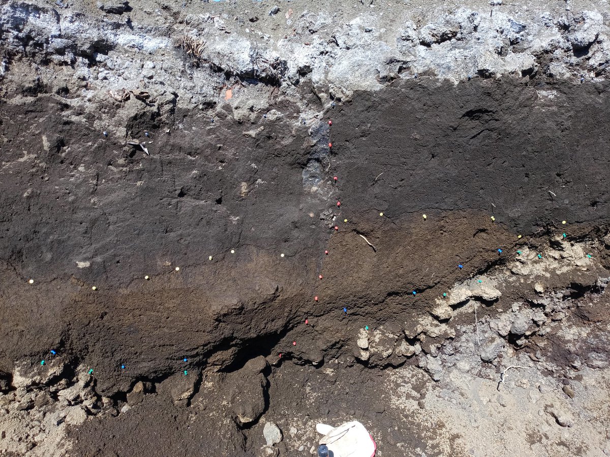 GiorgioTringa's tweet photo. Fault again, 2018 surface rupture @alemariamichett @FranzLivio @eshaan0304 @Perigeo_Ins @Uni_Insubria #Etna https://t.co/7ZJKNeranC