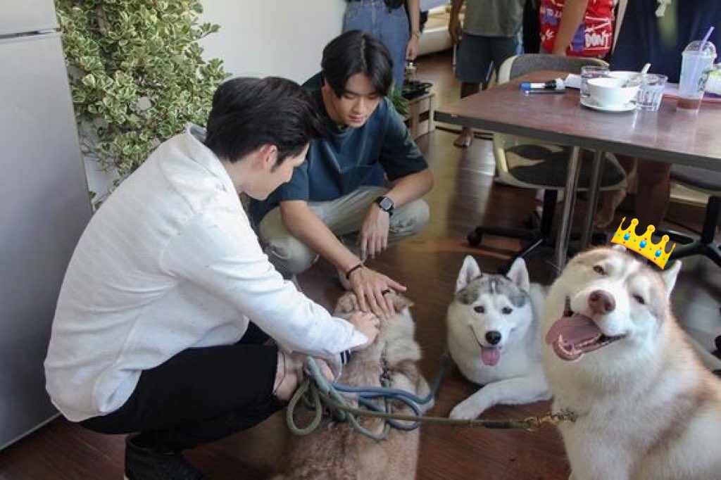 JSatur_No1's tweet photo. @PerthNakhunTHFC ทานโทษนะคะแอด เราก็ไปด้วยกันทำไมแอดตัดเราออกหละคะ !!
#fallinlovewithPerth #PerthNakhun https://t.co/ydBZo7clol