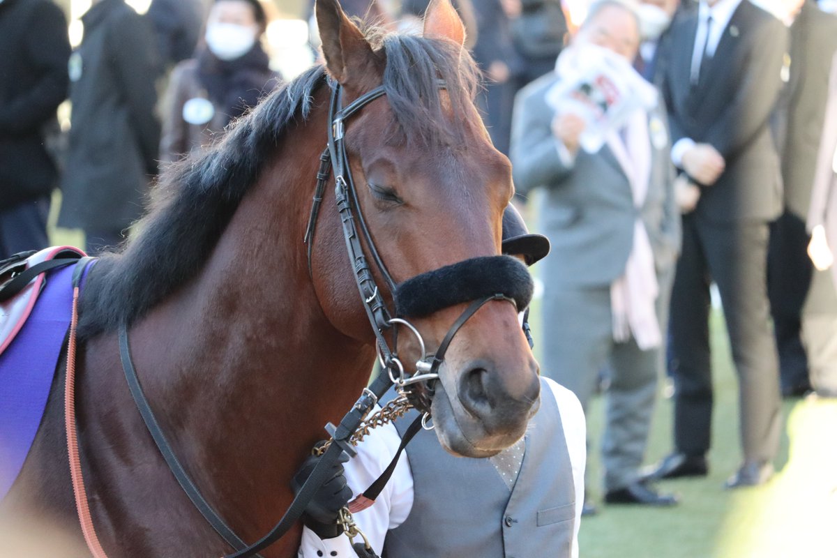 slaaaaabley's tweet image. #ありがとうエフフォーリア
#有馬記念2022