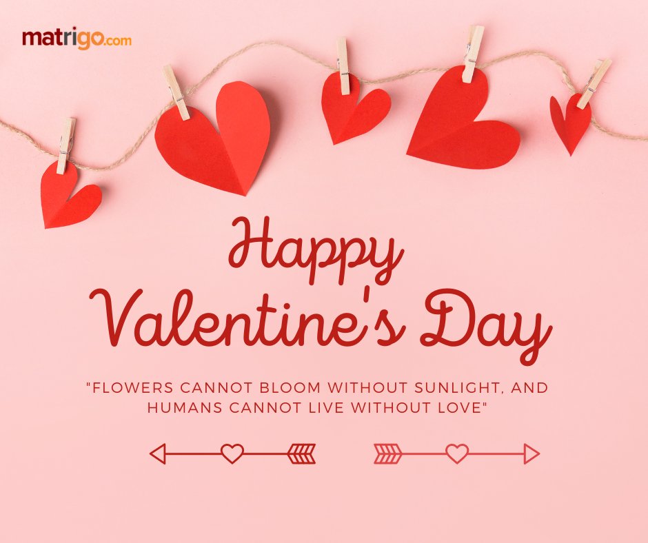 MatchRightGo's tweet photo. Love is the sunshine that makes life bloom. Wishing you a Valentine's Day filled with love and happiness.
💕 Happy Valentine's Day! 💕

Tag your Valentine!

#happyvalentinesday #valentines #matrigo #matchrightgo #ValentinesDay2023 https://t.co/IlZ7KLnw07