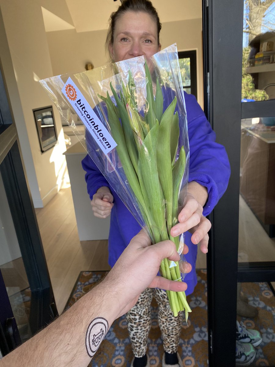 BloemBitcoin's tweet photo. First valentine bitcoin tulip delivered. Next stop, Rotterdam. https://t.co/A69Sr04DEX