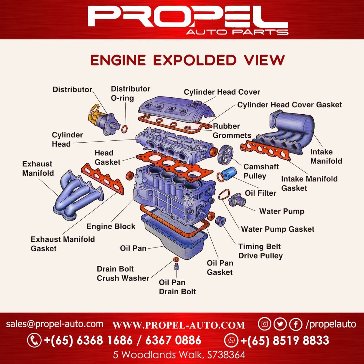 propelauto's tweet photo. #Info Find the Engine Parts names here👇🧐 

Order the parts with the correct name😎🫰 

#PropelAuto #ExportEngine #ContiCars #EuropeanCars #SpareParts https://t.co/1JWB9GEdhM