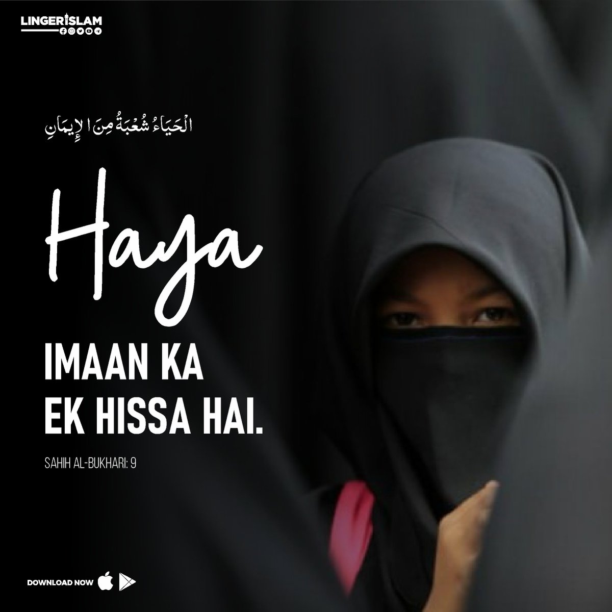 MillatCo's tweet photo. Haya Imaan ka ek hissa hai.
Sahih Al-Bukhari : 9
#valentineday #LingerIslam #Linger #IslamicApp
#14february❤️ https://t.co/I3K16LEUGl