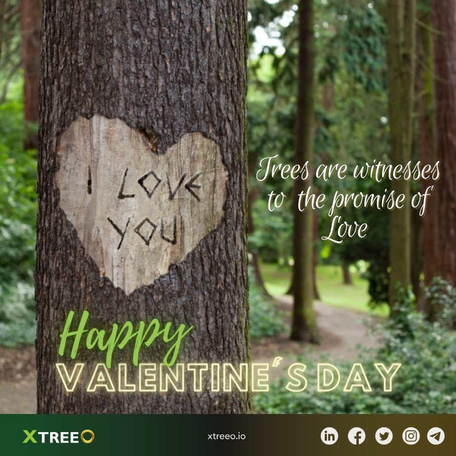 Trees are often silent witnesses to the promises of love and forever.

If we can’t say it with flowers, say it with trees! 

Wishing everyone Happy Valentine’s Day from XTreeO

#valentinesday #happyvalentines #valentines #valentine #happyheartsday