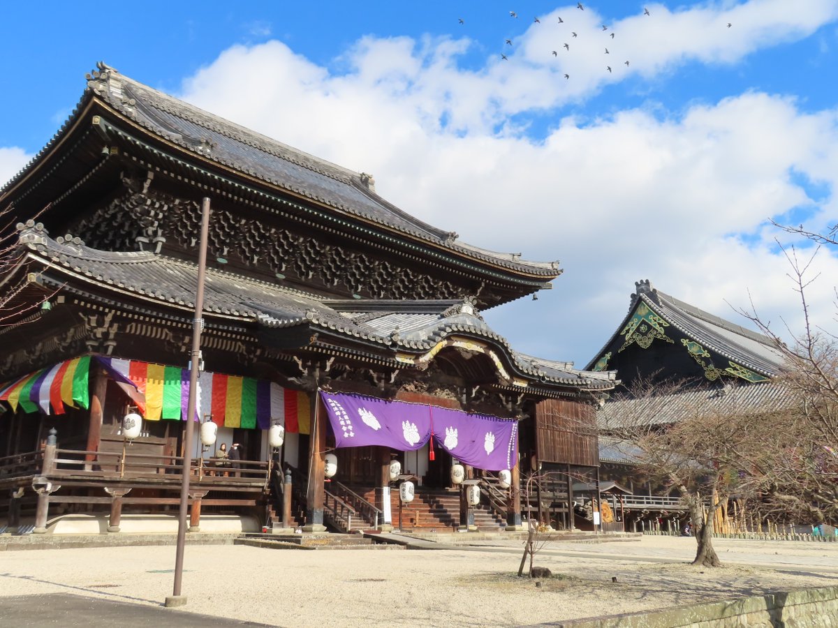 shanehashi's tweet photo. 名松線に乗った後、津の北の専修寺を訪れました。On Jan. 08, '23, visited Senshuji Temple after taking a train on the Meisho Line.

Explore Historical and Exotic Japan
https://t.co/z4xapxgXxh

#専修寺 #名松線 #旅 #TraveltoJapan #travelphotography #japantravel https://t.co/VsFz0AcVQY