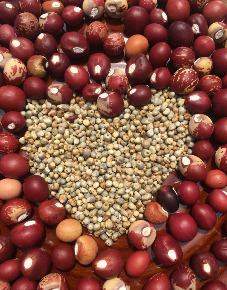 GroundUpGhana's tweet photo. Happy Valentine's Day!💕

#Millet #BambaraBeans #ForPeopleForPlanet #ResponsibleConsumption #ClimateAction #Biodiversity #ImportDetox #PlantProtein #IYM2023 #LovePulses #MadeInGhana #GhanaIsBeautiful #GreenButterflyMarket https://t.co/KMYmbIOlWf