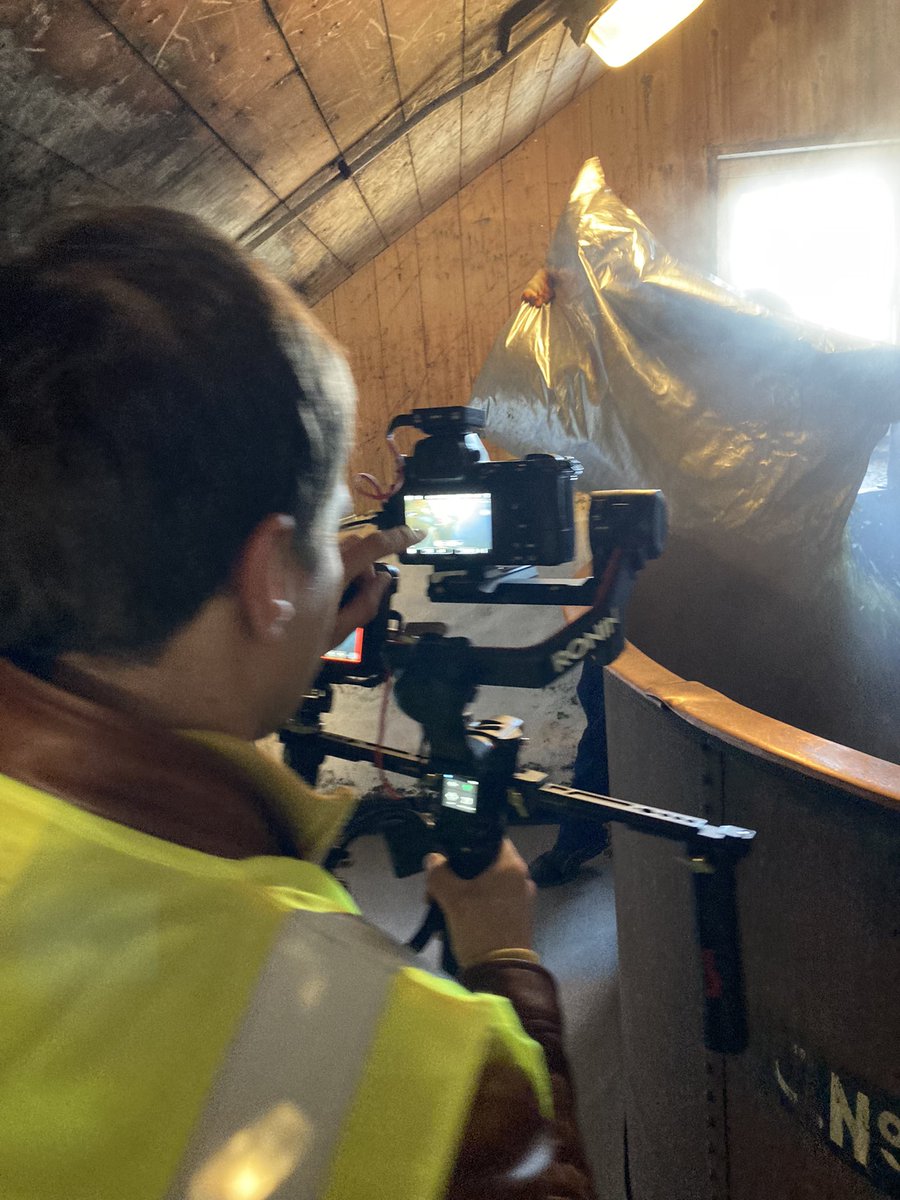 Palmers Brewery (@palmersbrewery) on Twitter photo We have <a href="/DorsetScouser/">Stephen Banks</a> filming us brewing more delicious Dorset Gold today 🍺 #lovebrewing #supportlocal We have <a href="/DorsetScouser/">Stephen Banks</a> filming us brewing more delicious Dorset Gold today 🍺 #lovebrewing #supportlocal