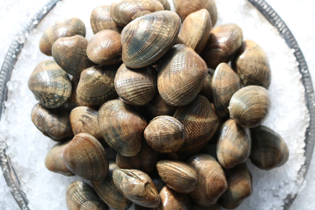 Manila Clams are now available for pick up in Boston! 

Our Manila Clams are harvested on farms throughout Washington state. They are great as an appetizer or added to pasta dishes.

Order yours via link in bio