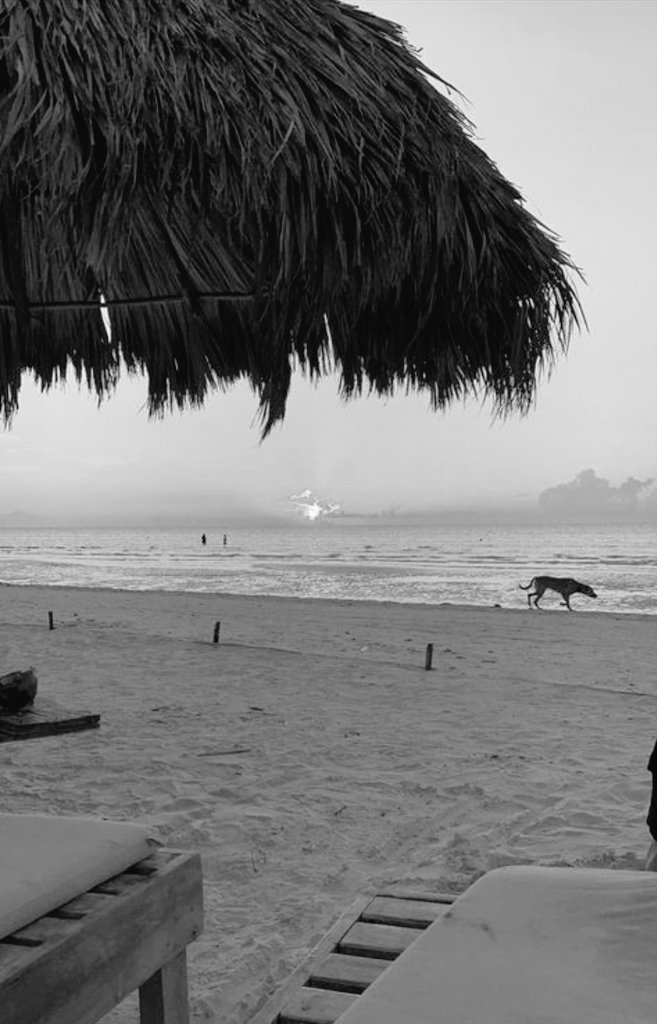 rfavboy's tweet photo. ㅤㅤㅤ
ㅤㅤㅤㅤ
ㅤ ㅤㅤ          Beach.

ㅤㅤ https://t.co/UklsVm2Z4V