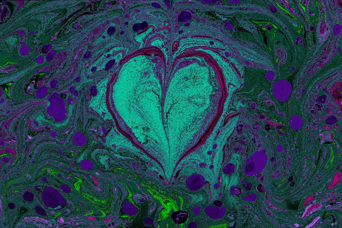 IAS_UW's tweet image. Happy Valentine's Day to all the scientists out there! May your love for discovery and innovation continue to bloom like a beautiful experiment ❤️💜💙💚 #ValentinesDay #ScienceLove