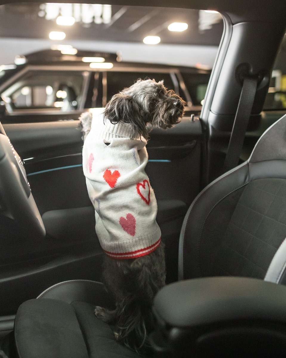 Partridge MINI tweet media