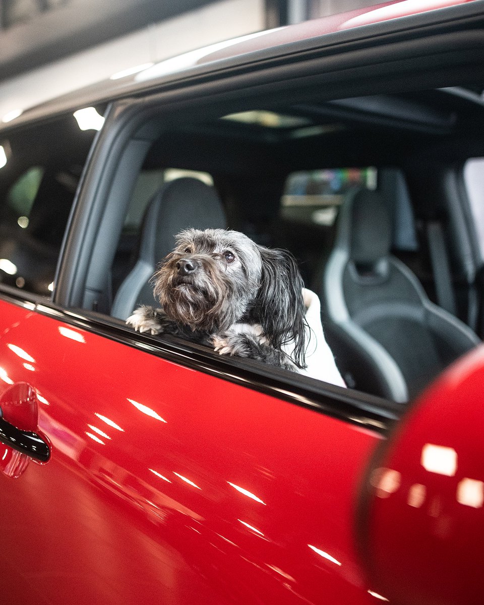 Partridge MINI tweet media