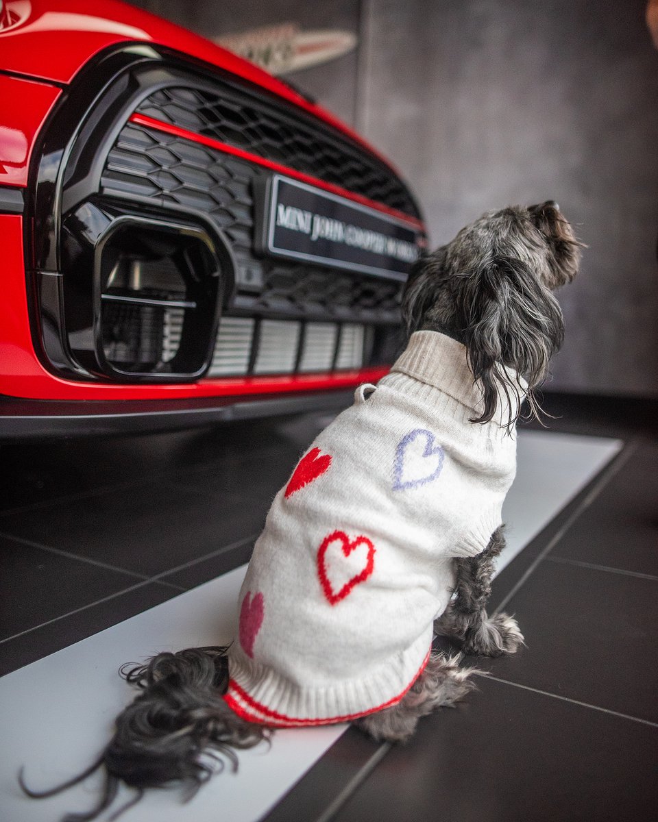 Happy Valentines Day from Partridge MINI. Here’s our favourite #MINIModel @dollymorleyx showing us that all you need in your life is Love &amp; of course a Brand New MINI in Chilli Red 😍❤️

#partridgemini #ValentinesDay #ValentinesDay2023 #minijcw #MINImoment #loveyourmini