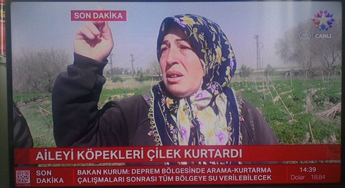 ugurbasyigit's tweet photo. Eğitimsiz sıradan bir köpek, ailesini kurtarmış. Eğitimsiz sıradan bir köpek, ailesini kurtarmış. Eğitimsiz sıradan bir köpek, ailesini kurtarmış. Eğitimsiz sıradan bir köpek, ailesini kurtarmış. Eğitimsiz sıradan bir köpek, ailesini kurtarmış. Eğitimsiz sıradan bir köpek, ailesi https://t.co/3zYKIqOkQb