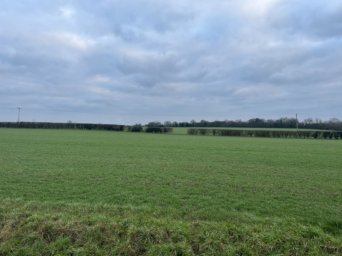 Kimberly Mendonca tweet media