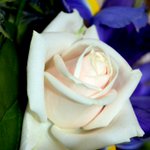 Photo by The Olive Tree Cancer Support Group Charity (@OliveTreeCSC)